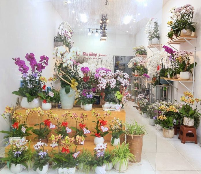 shop hoa tươi Hải Phòng