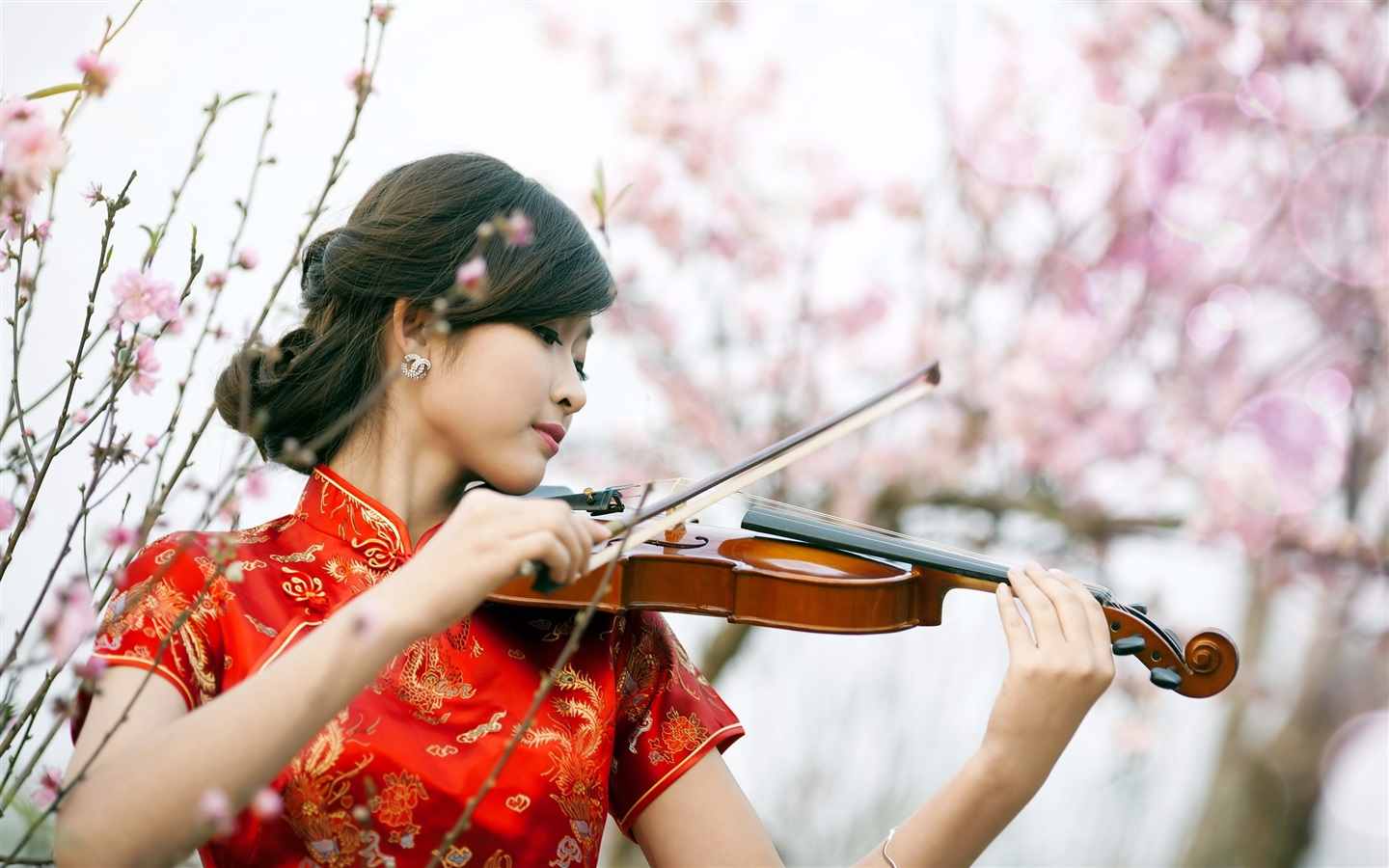 học kèm đàn violin đà nẵng